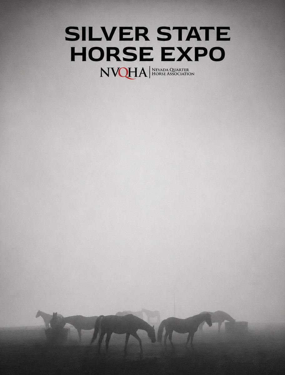 Horses in morning fog