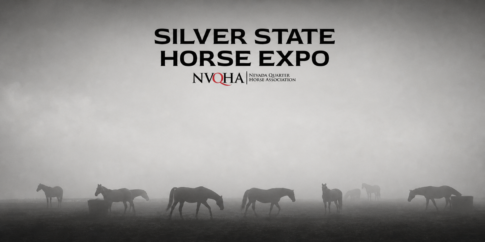Horses in morning fog